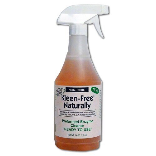 Kleenfree | the lice chicks Kleen+free the lice chicks